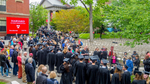 universitatea harvard