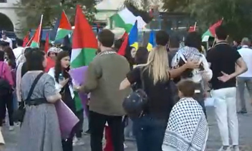 manifestatie pro palestina