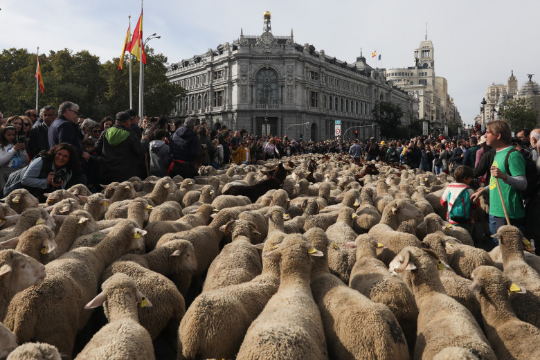 Transhumance Festival in Madrid, Spain -22 Oct 2023