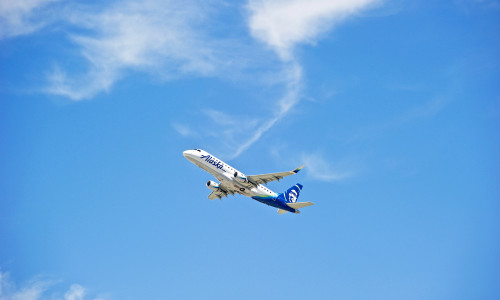 Un pilot din SUA a încercat să oprească motoarele unui avion în plin zbor/ Shutterstock