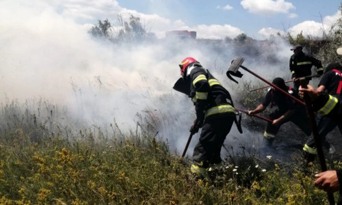 Incendiu vegetație Botoșani/ Foto: ISU Botoșani