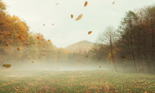 Autumn,Landscape,Background,With,Leaves,Falling,In,The,Wind