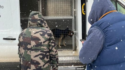 Un om al străzii a cerut ajutor poliţiştilor pentru el şi câinele lui/ Foto: News.ro.