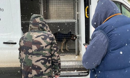 Un om al străzii a cerut ajutor poliţiştilor pentru el şi câinele lui/ Foto: News.ro.