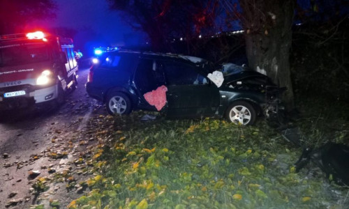 Accident Timiș/ Foto: ISU Timiș