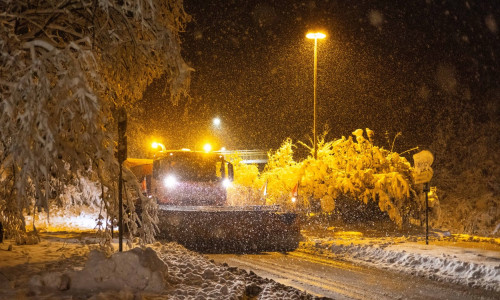 Prognoza pentru luna decembrie 2023