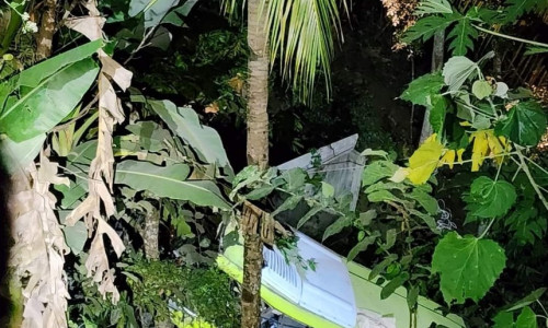 Un autobuz a căzut într-o râpă adâncă de 30 de metri în Filipine/ Foto: Twitter