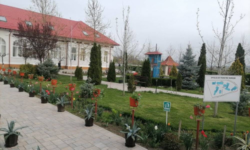 spitalul de psihiatrie murgeni