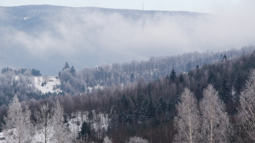 Forest,Landscape,In,The,Mountains,Near,Garana,Village,,Romania