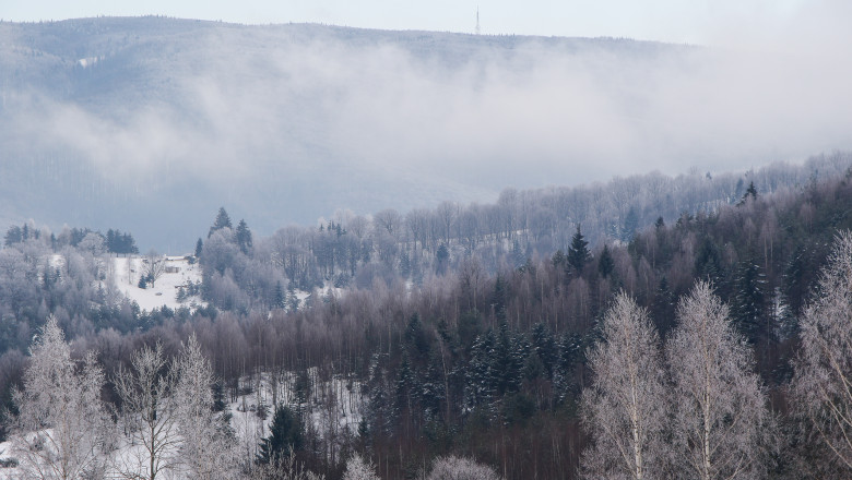 Forest,Landscape,In,The,Mountains,Near,Garana,Village,,Romania