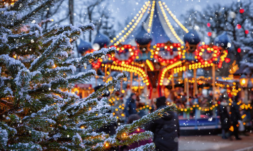 Brad de Crăciun/ Shutterstock