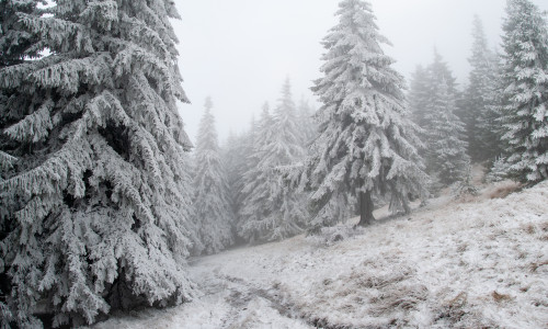 Beginning,Of,Winter,In,The,Bucegi,Mountains,Romania,,With,Snowy