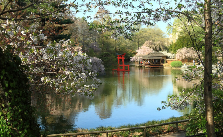 BROOKLYN BOTANIC GARDEN