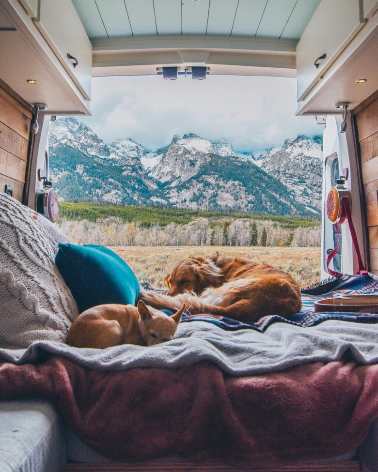 EXCLUSIVE: 'I Was Just So Tired All The Time': Woman, 26, Who Used To Work '70 Hours Per Week' Quits To Live Life On The Open Road In A Van With Her Two Dogs Spending Just $14,000 In Total