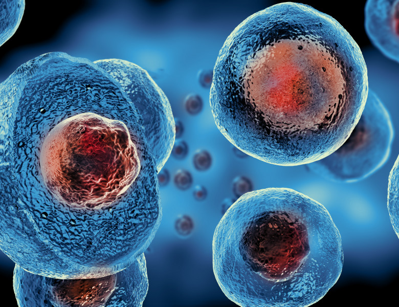 Zona de risc-Celule stem-Biocod