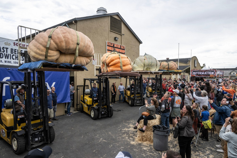 World Championship Pumpkin Weigh-off in Half Moon Bay, California