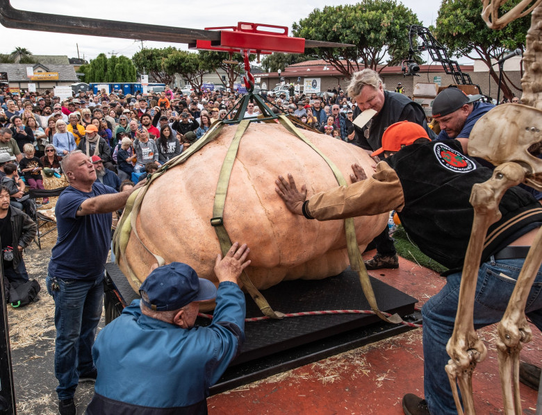 World Championship Pumpkin Weigh-off in Half Moon Bay, California