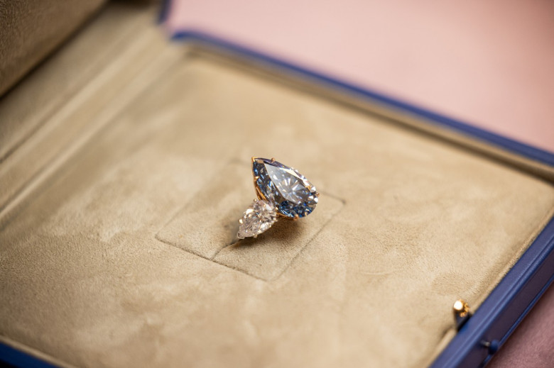 diamantul blue royal (1)