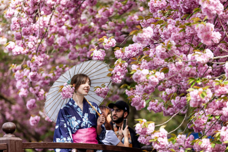 japonia