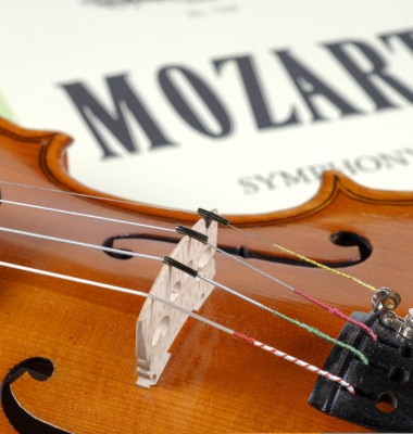 Mozart/ Shutterstock