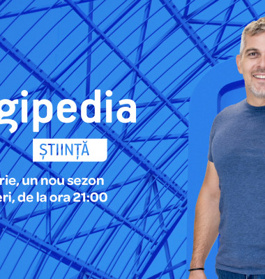 vizual comunicat DIGIPEDIA 1