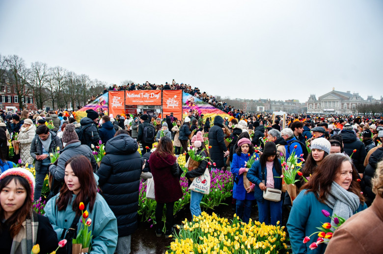 National Tulip Day was organized in Amsterdam, Netherlands - 18 Jan 2025