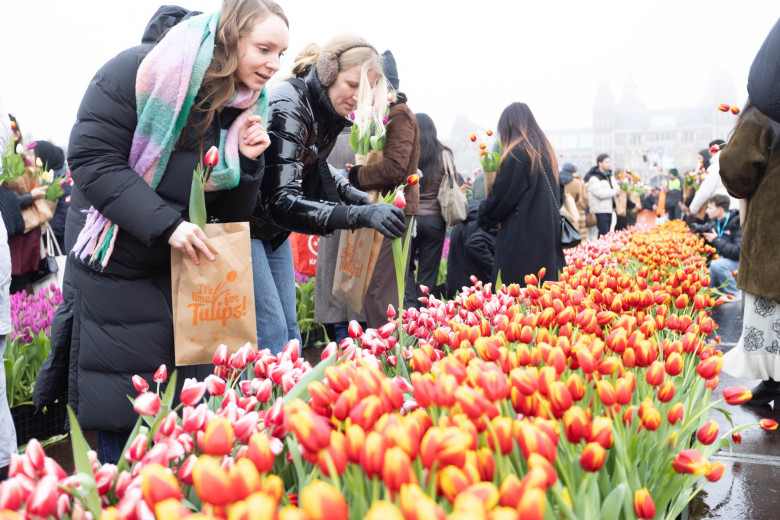 NETHERLANDS AMSTERDAM NATIONAL TULIP DAY