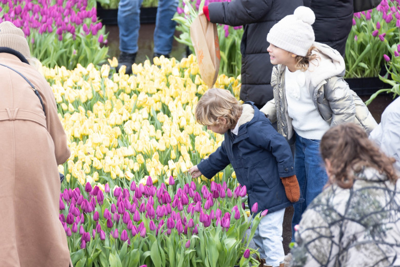 NETHERLANDS AMSTERDAM NATIONAL TULIP DAY