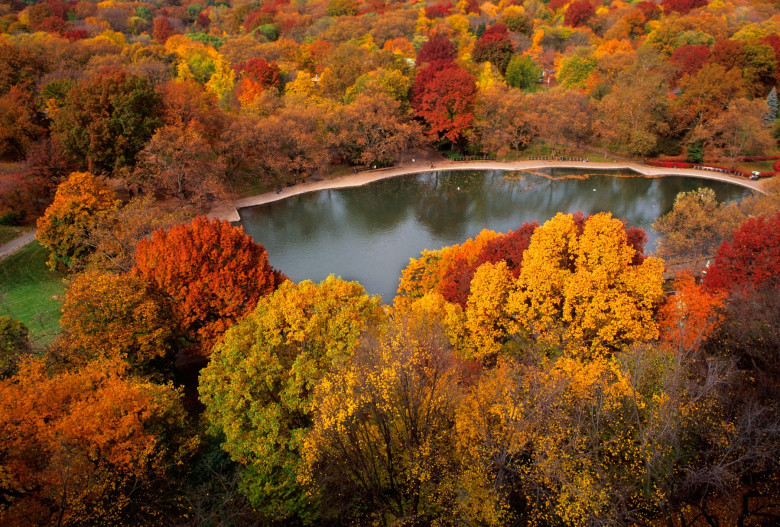 Central Park toamna, New York