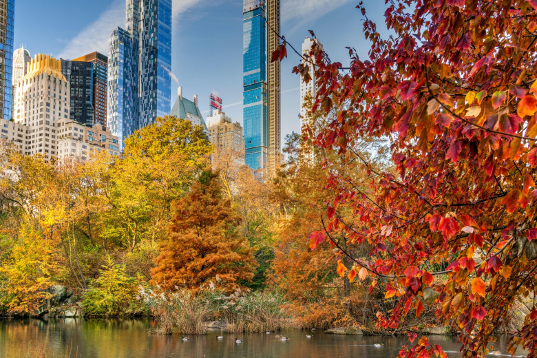Central Park toamna, New York