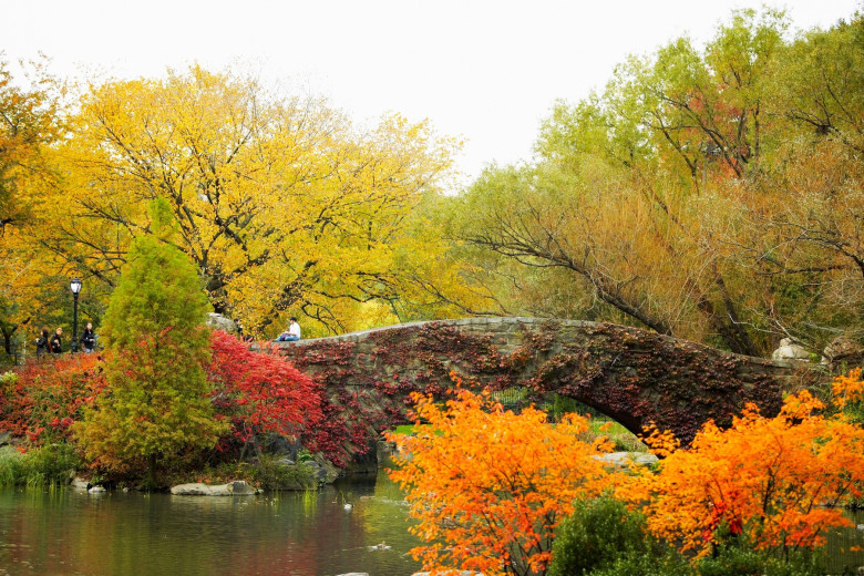 Central Park toamna, New York