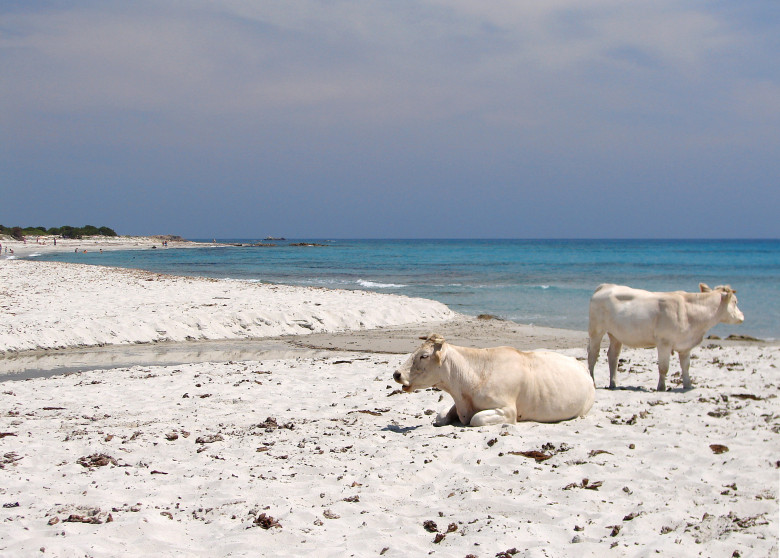 Siniscola, Sardinia/ Profimedia