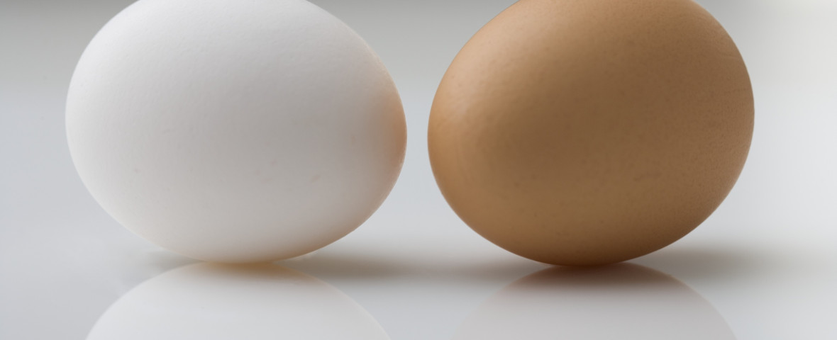 Ouale albe sau maro? Care sunt mai nutritive și ce ascunde, de fapt, coaja/ Profimedia
