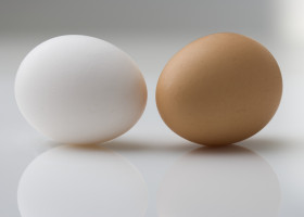 Ouale albe sau maro? Care sunt mai nutritive și ce ascunde, de fapt, coaja/ Profimedia
