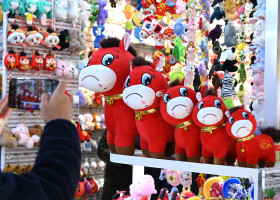 „Căluţul plângăcios”, jucăria momentului