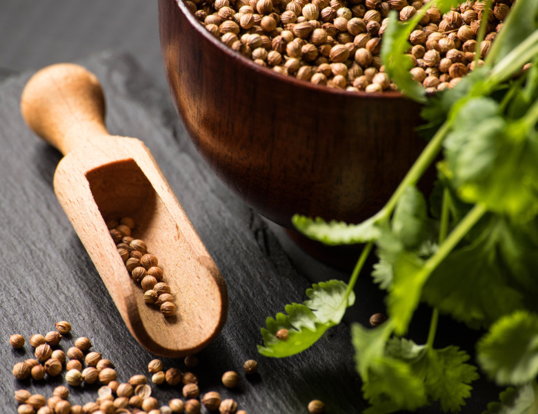 Semințele de coriandru/ Profimedia