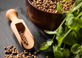 Semințele de coriandru/ Profimedia