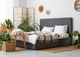 Plante ideale pentru dormitor/ Profimedia