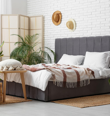 Plante ideale pentru dormitor/ Profimedia