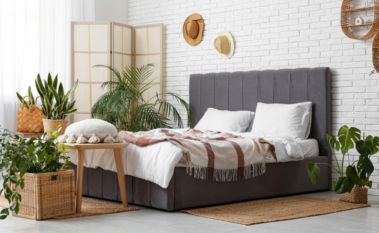 Plante ideale pentru dormitor/ Profimedia