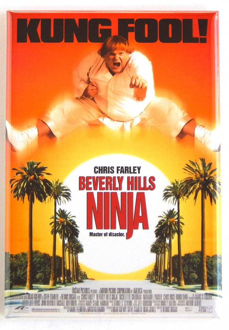 beverly hills ninja