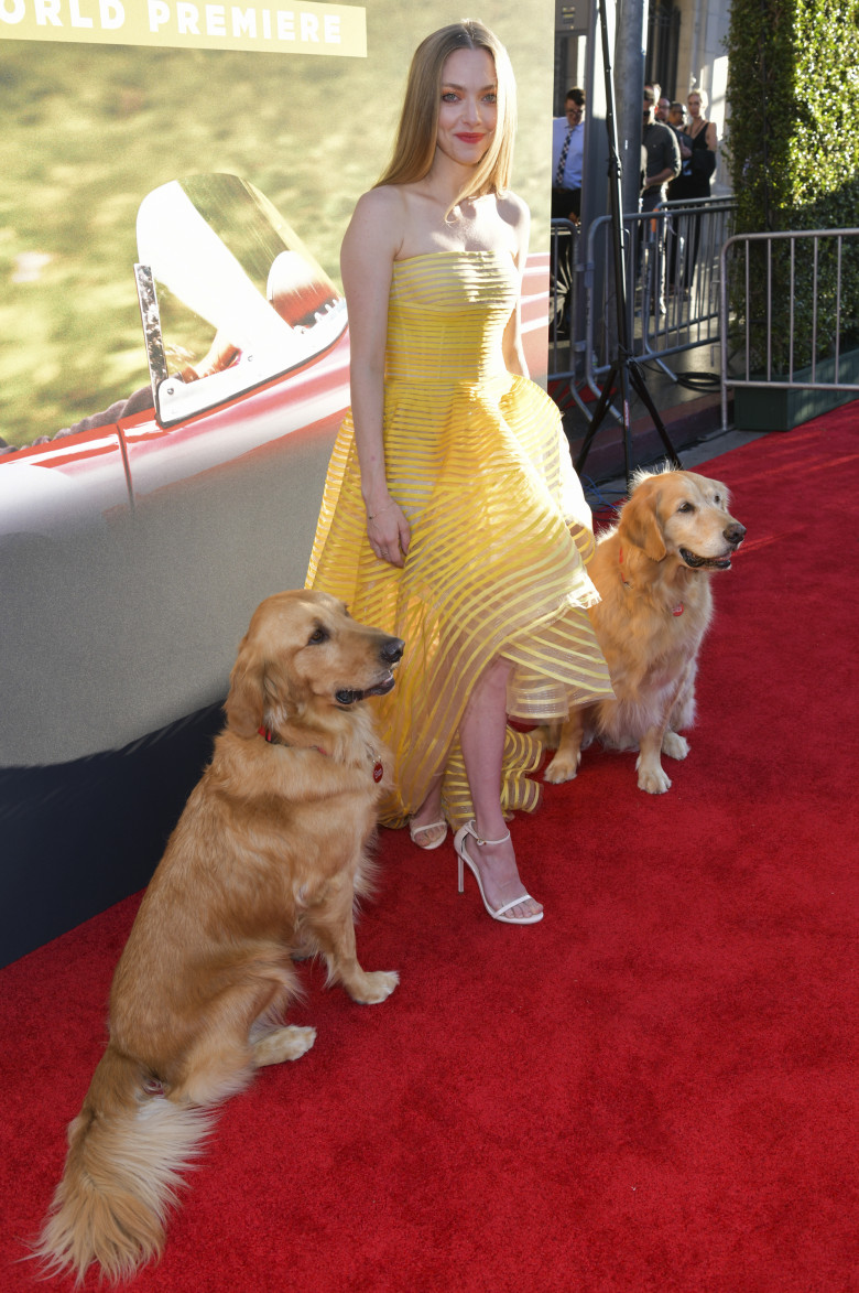 Premiere Of 20th Century Fox's "The Art Of Racing In The Rain" - Red Carpet