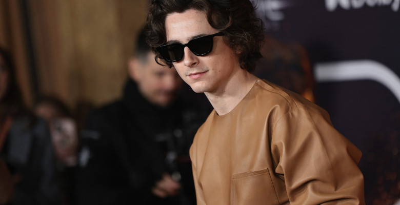 chalamet (4)