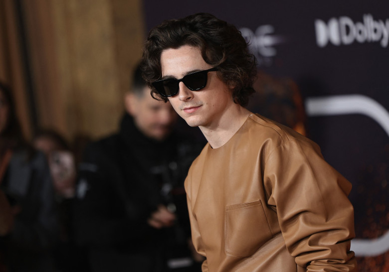 chalamet (4)
