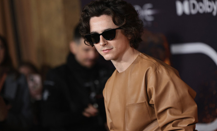 chalamet (4)