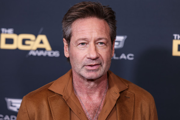 David Duchovny/ Profimedia