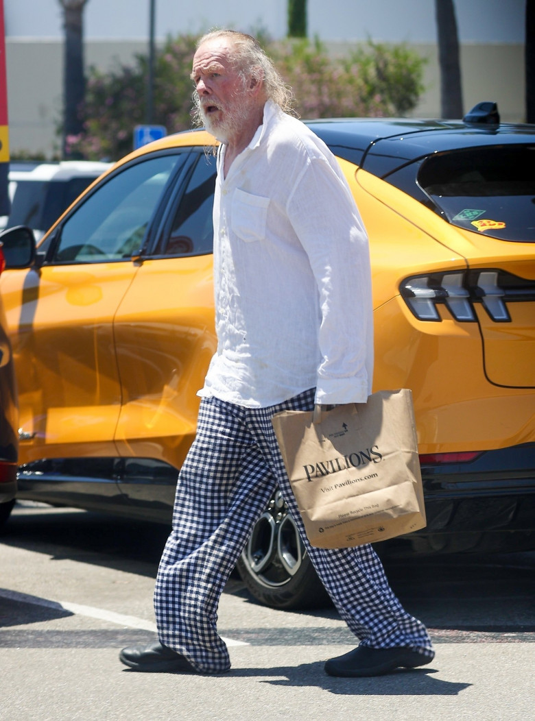 *EXCLUSIVE* Aging Actor Nick Nolte Thrives, Spotted Grocery Shopping in Malibu