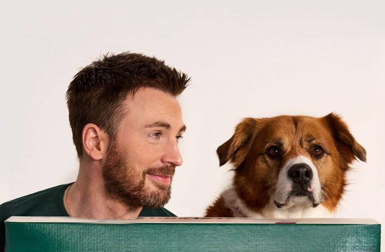 "Jinx" and Chris Evans have teamed up to create "The Dog Dream Box"