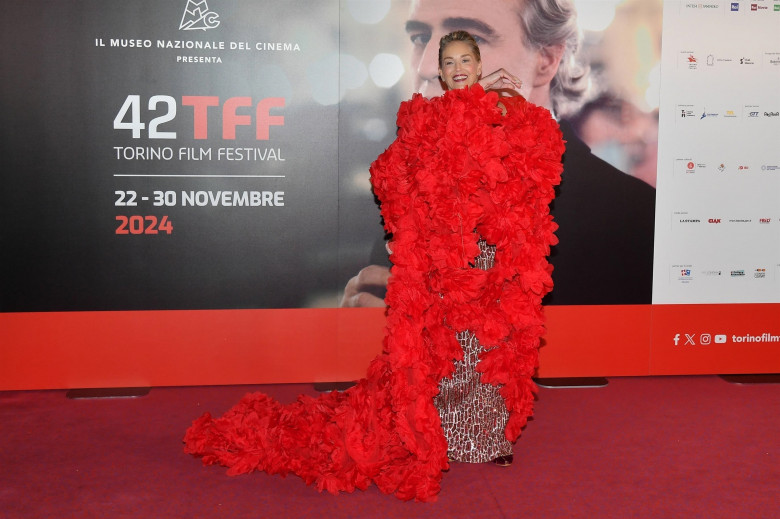 Red Carpet and Opening Ceremony of the 42nd Turin Film Festival