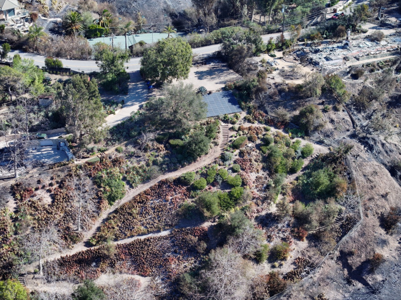 Mel Gibson’s Malibu home lost to devastating wildfires